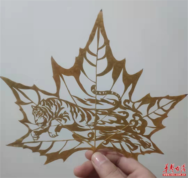 图片 1.png 图片 1.png