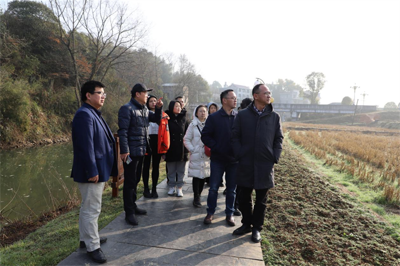 旅游规划先行“重建”美丽村庄：长沙商贸旅游职院交出特色答卷