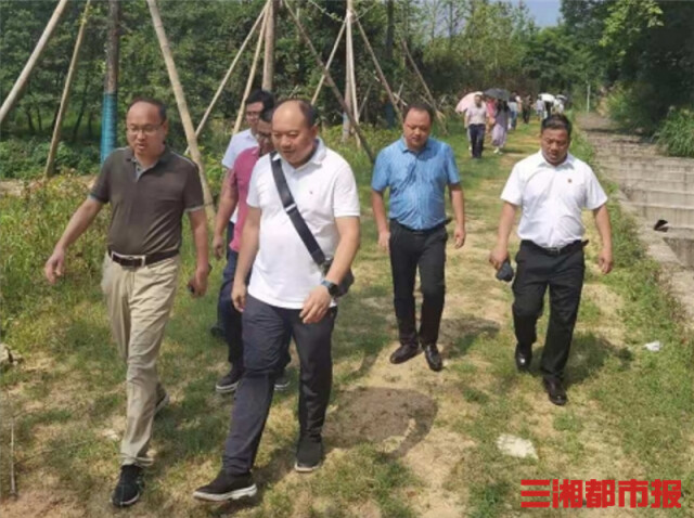 旅游规划先行，长沙高校“重建”美丽村庄