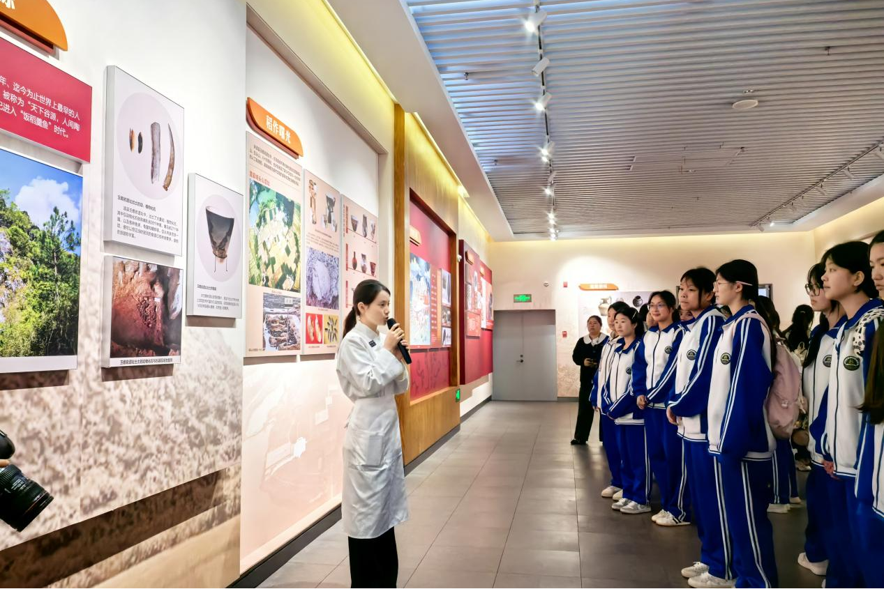 图片5.png 图片5.png